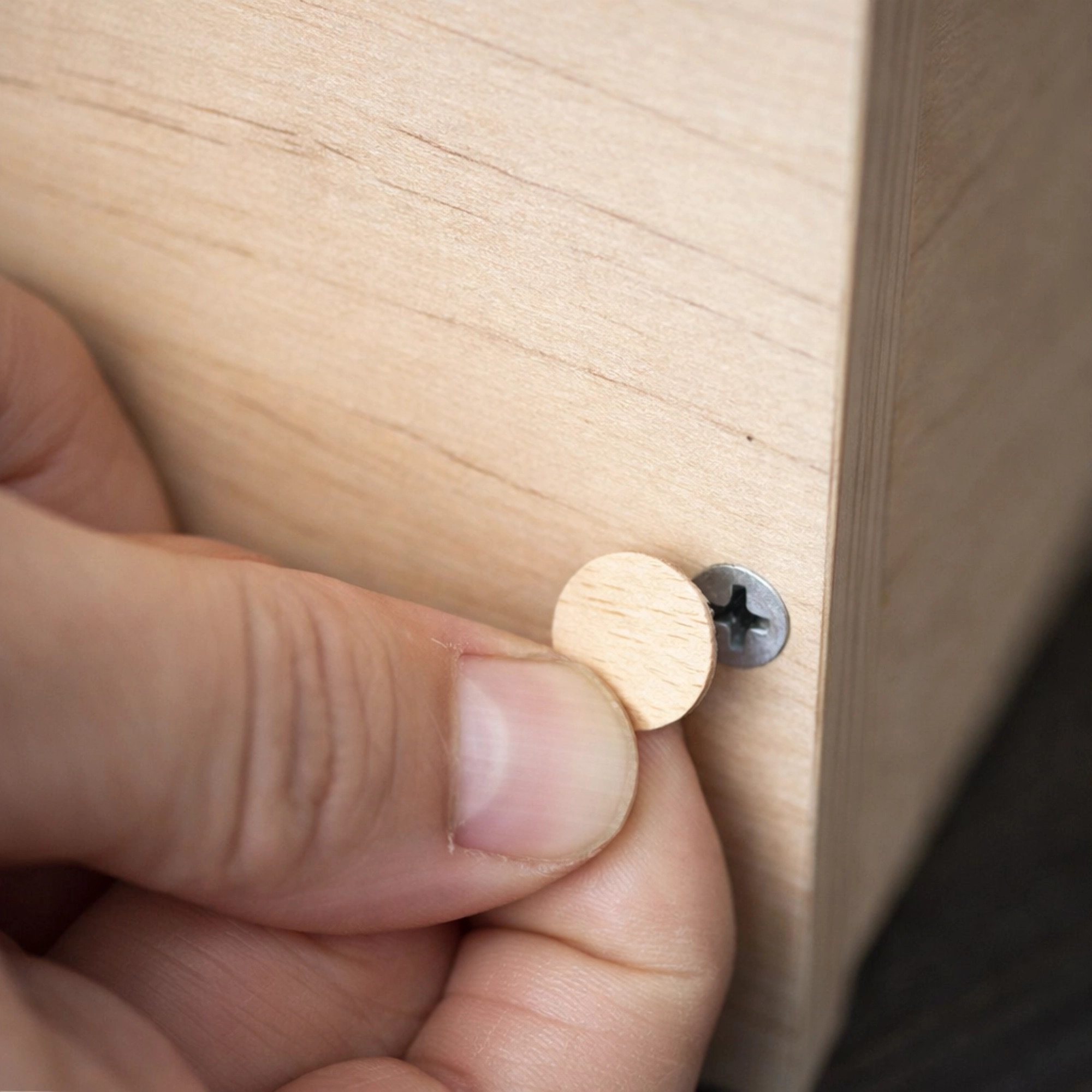 TAPA TORNILLO ADHESIVO - Imagen 5